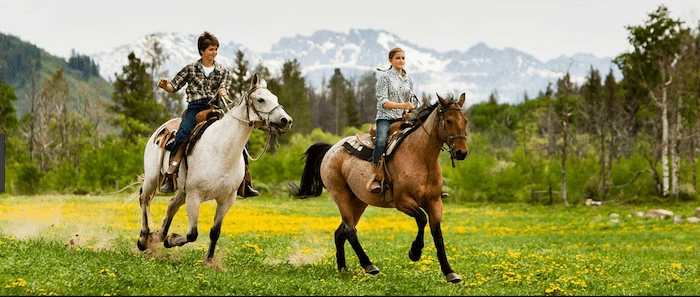 Confident plus-size woman riding Stanmore a horse through a field with a smile on her face.
